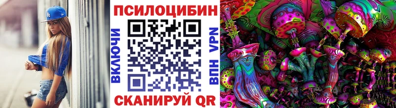 где можно купить наркотик  Йошкар-Ола  Галлюциногенные грибы прущие грибы 